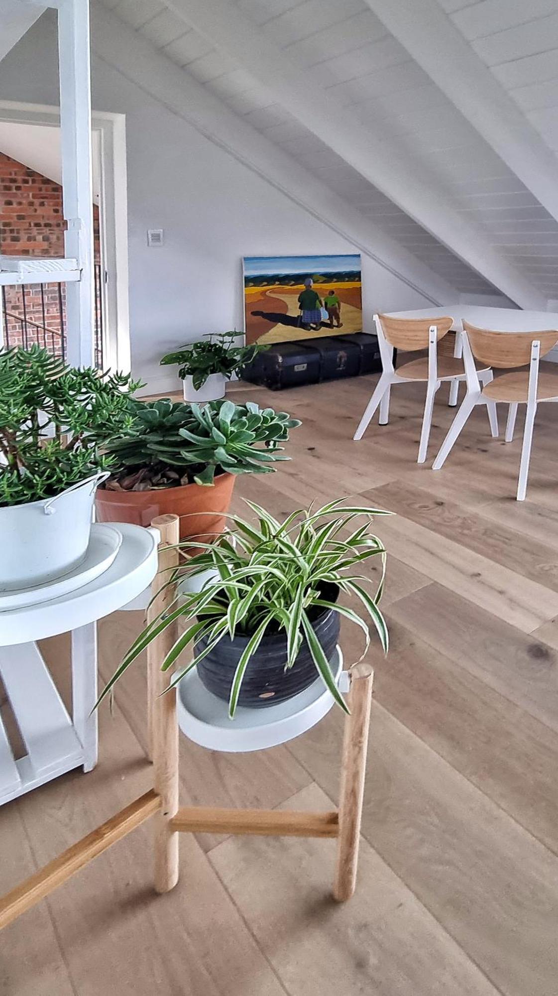 The Dragon Tree Guesthouse คาล์คเบย์ ภายนอก รูปภาพ